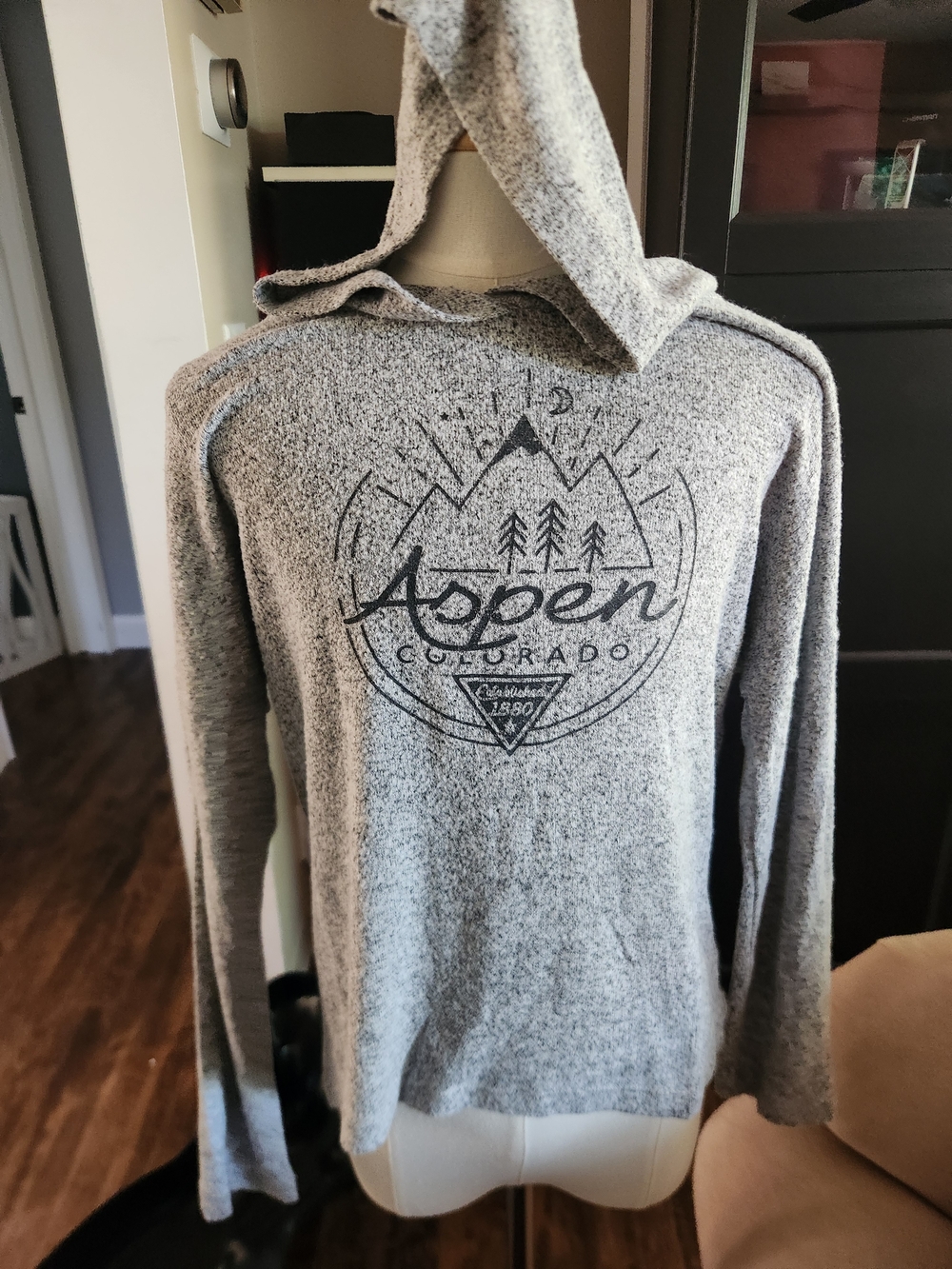 Aspen Colorado Kids Hoodie Sweatshirt - Gray